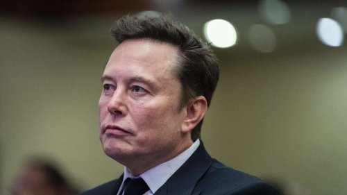 Wie beim Wrestling: Musk und Minister schreien sich im Weißen Haus an
