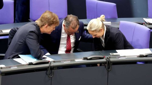 Was bringt ein AfD-Verbot? „Wenn wir die AfD nicht brechen, wird sie uns brechen“