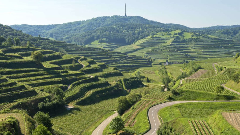 SCHWARZWALD
