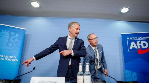 Geleaktes AfD-Gutachten: Peinlich und hilfreich
