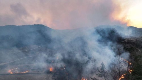 Vier Tote und sechs Verletzte bei Waldbränden in Südkorea