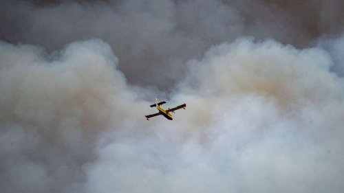 Copernicus: Waldbrände auf Nordhalbkugel außergewöhnlich