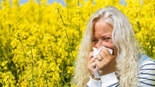 Pollensaison beginnt – welche Hausmittel die Symptome lindern