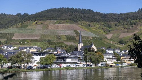 Eines der ältesten Weingüter der Welt steht an der Mosel in Rheinland-Pfalz