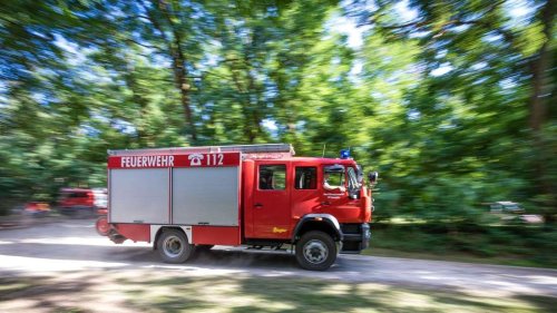 Waldbrand am Feldberg – Hunderte Quadratmeter in Flammen, Warn-Apps ausgelöst