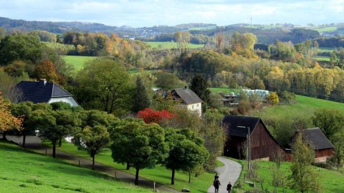 Bergbau und Fossilien: Steinreich im Bergischen Land