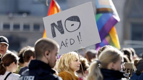 Report Recht gegen rechts: Wie die AfD die Justiz angreift
