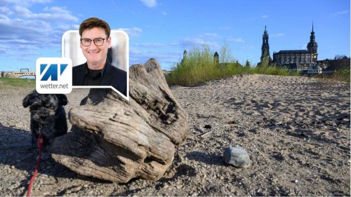 Experte warnt: Aktuelle Wetterlage ist der ideale Nährboden für Hitzewellen im Sommer
