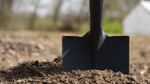 Wie entsorge ich Blumenerde richtig? Dann nicht in den Biomüll