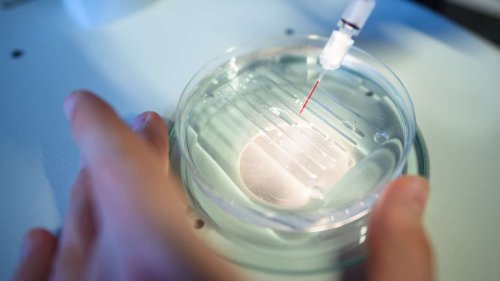 Krebs und Herzinfarkt bald heilbar? Gentherapie könnte möglicherweise bald den Durchbruch bringen