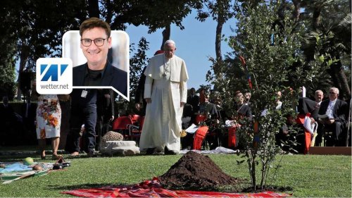 Papst Franziskus und der Klimawandel: „Seine Worte hatten Gewicht“