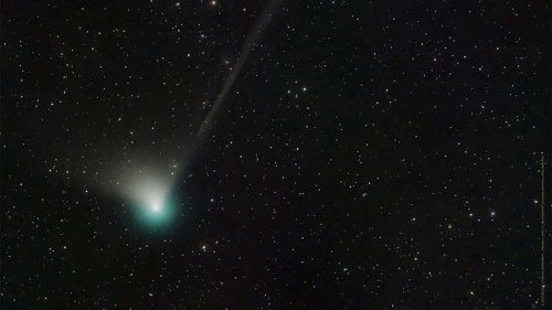 Grüner Komet erreicht nächsten Punkt zur Erde – So beobachten Sie ihn heute