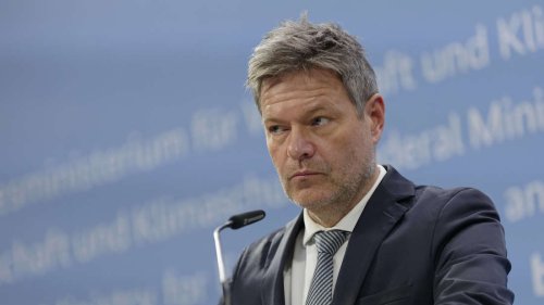 Nächster Ampel-Eklat in der Haushaltskrise: Habeck will Strom rationieren – FDP außer sich