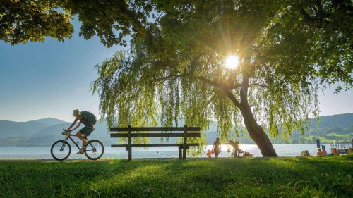 Radparadies Bayern: Fünf der zehn beliebtesten Radwege Deutschlands führen durch den Freistaat