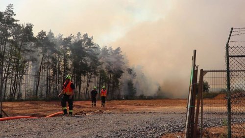 Waldbrand bei Münster: Zahlreiche Feuerwehrleute behandelt – Bundeswehr im Einsatz
