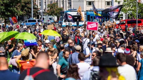 Tausende demonstrieren in Baden-Württemberg für AfD-Verbot