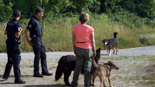 Hunde in Frankfurt: „Der ist brav, der hört“