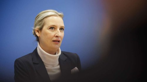 Pikante Details des AfD-Gutachtens zu Politikern aus Baden-Württemberg ans Licht geraten