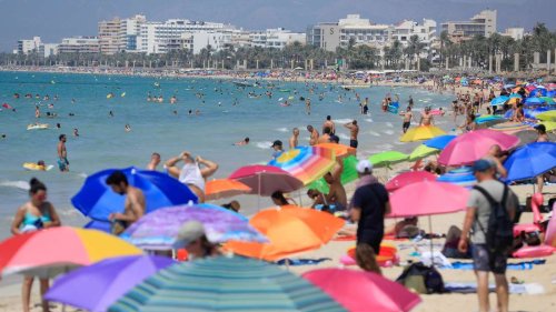 Sie soll geputzt haben, während ihr Mann im Sterben lag: Polizei nimmt Deutsche auf Mallorca fest