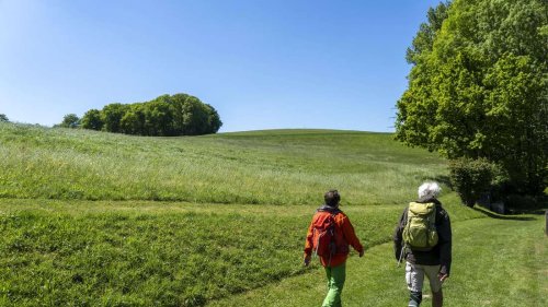 Wandern in Deutschland: NRW landet „vielleicht überraschend“ im Ranking weit vorne