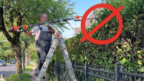 Für diese Gartenarbeit droht von März bis September Bußgeld