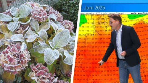 Von Frostschock zu Hitzewelle – Rheinland-Pfalz erlebt extreme Wetterwechsel