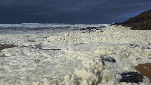 Ominöser gelber Schaum im Meer: Hunderte Urlauber berichten über allergische Reaktionen