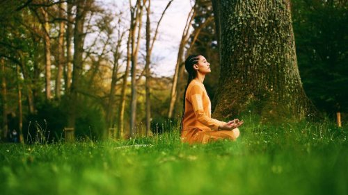Wald Wonne Festival: Bad Orb lädt zum Gesundheits-Event mit Judith Rakers