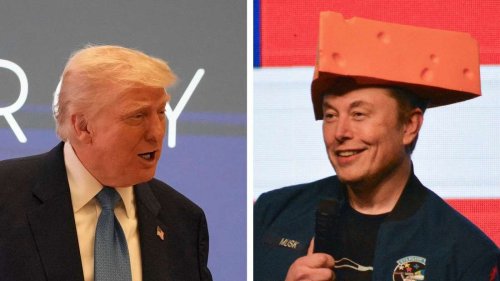 „Er ist am Ende, erledigt“: Donald Trump distanziert sich offenbar von Elon Musk