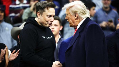 Trump gibt persönliche Einblicke über sein Verhältnis zu Musk: „Ich kannte ihn kaum“