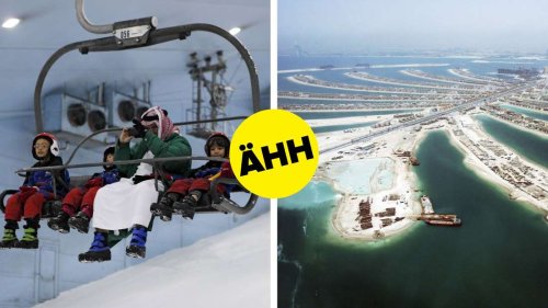 7 Gründe, warum Dubai der perfekte Ort für die Klimakonferenz ist