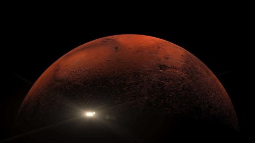 Überraschender Fund auf dem Mars: Nasa entdeckt einen „Bären“