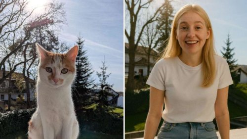 Wenn Haustiere zu Menschen werden – so funktioniert der KI-Trend