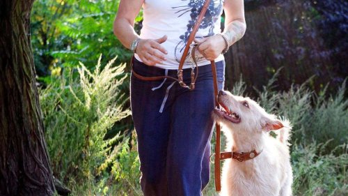 Besser anleinen: Junge Wildtiere vor Hunden schützen