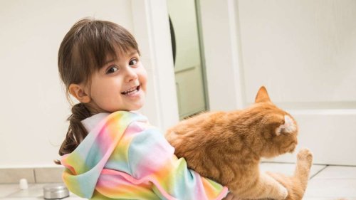 Hund, Katze, Hamster: Welches Tier passt zu meinem Kind?