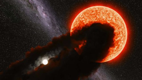 „Zufallsentdeckung“ im Weltall: Stern wird ungewöhnlich hell – ohne sich selbst zu verändern