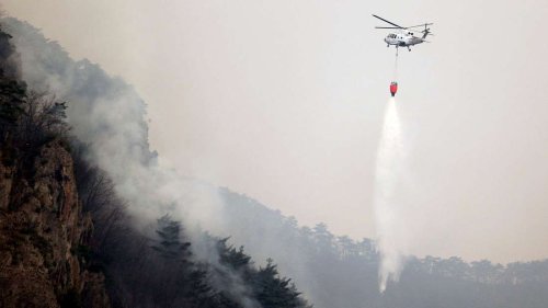 Zahl der Toten bei Waldbränden in Südkorea steigt auf 26