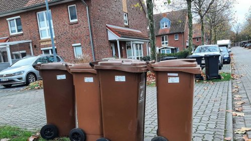 Kompostierbare Tüten im Biomüll? Warum das oft ein Fehler ist