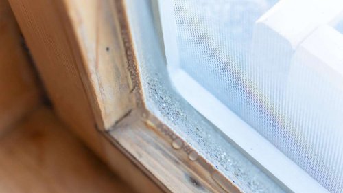 Schimmel in der Wohnung? Dieser einfache Trick auf der Fensterbank kann helfen