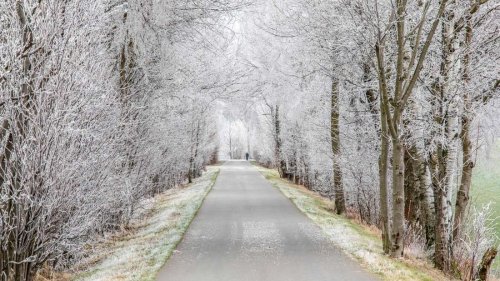 Bis zu minus 15 Grad – arktische Luft nimmt Kurs auf Deutschland