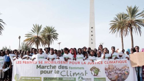 LNG aus Senegal: Der Widerstand wächst