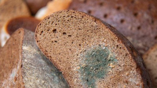 Immer mehr Schimmelpilzgifte in Lebensmitteln – Welche Produkte besonders betroffen sind