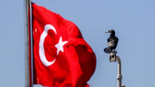 Erdbeben erschüttert die Türkei – Experten warnen vor Nachbeben