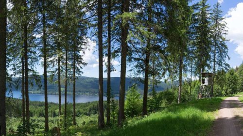 Wanderweg in Baden-Württemberg verspricht eine der schönsten Aussichten Deutschlands
