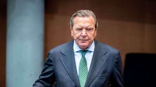 Schröder verklagt Bundestag wegen Entzug seiner Privilegien - Kubicki fordert klarere Leitlinien