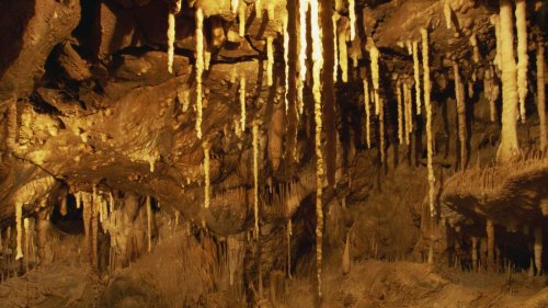 Höhle in NRW bietet spektakuläre Aussichten