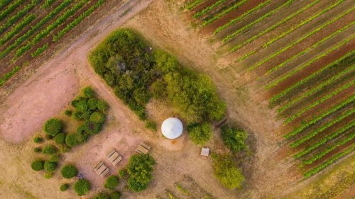 „Hügeltouren“ in Rheinland-Pfalz – eine der schönsten Landschaften in Rheinhessen