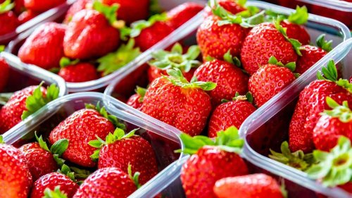 Vorwürfe gegen deutsche Supermärkte: Kunden fordern Erdbeeren-Verkaufsstopp