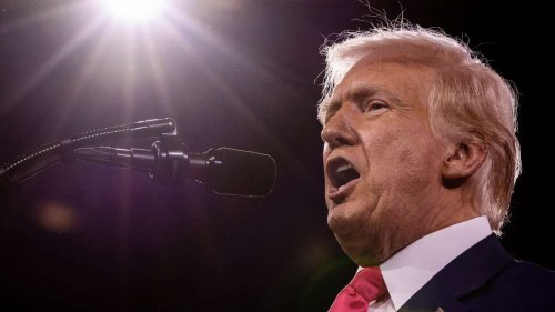 Experte vergleicht Trump mit Hitler – „schöpft immer wieder aus ‚Mein Kampf‘“