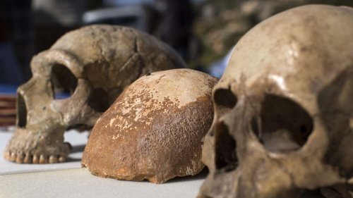 Menschheit beinahe ausgelöscht: Vor 800.000 Jahren starben wohl 99 Prozent der menschlichen Bevölkerung aus